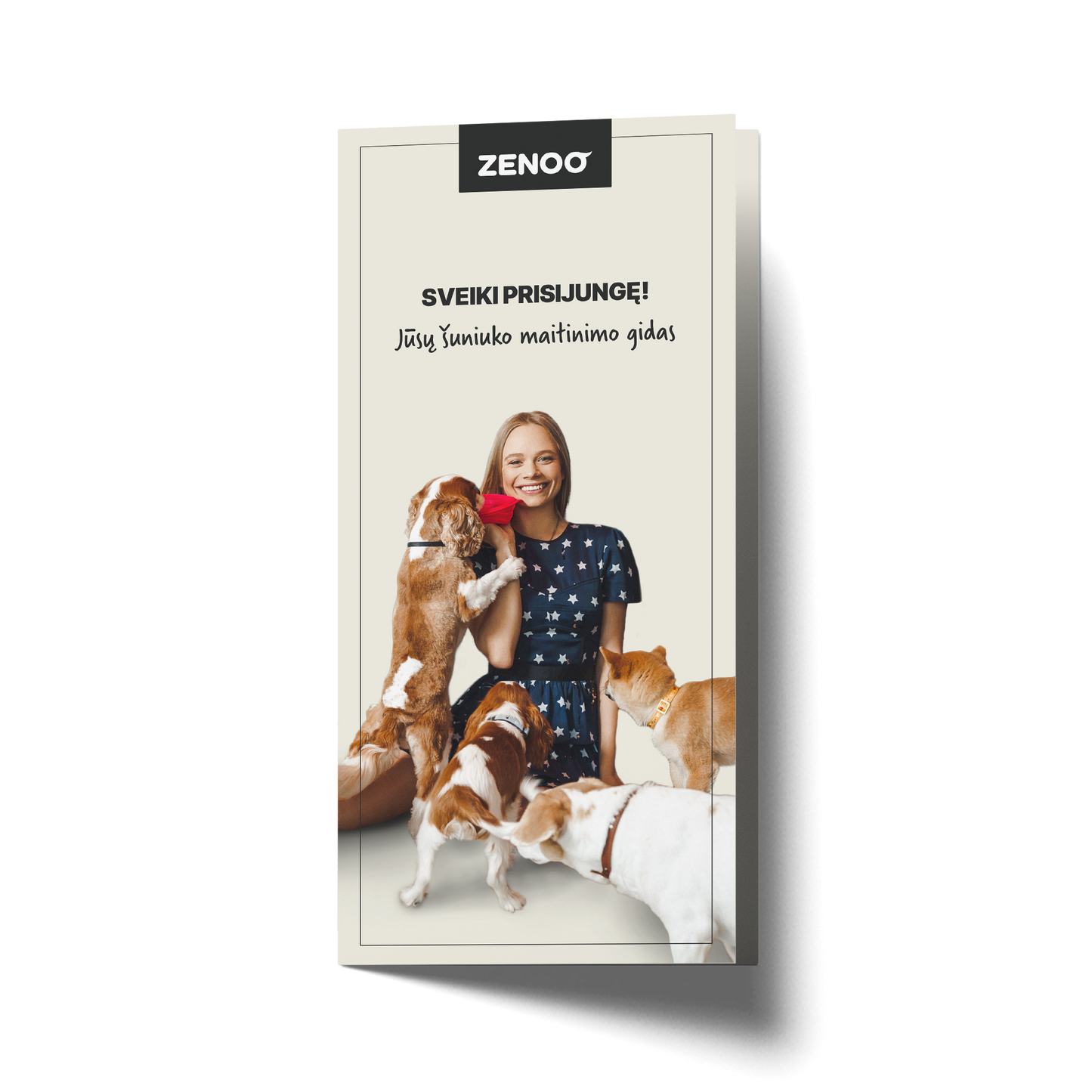 Maitinimo Gidas - Lietuvių kalba