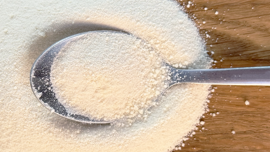 Kolagenas šunims ir katėms: natūralus būdas stiprinti sąnarius, kailį ir judrumą